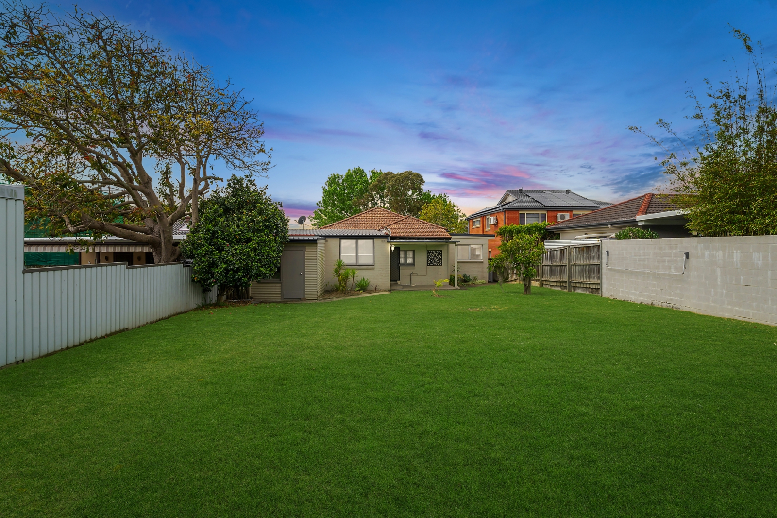 backyard dusk_v2