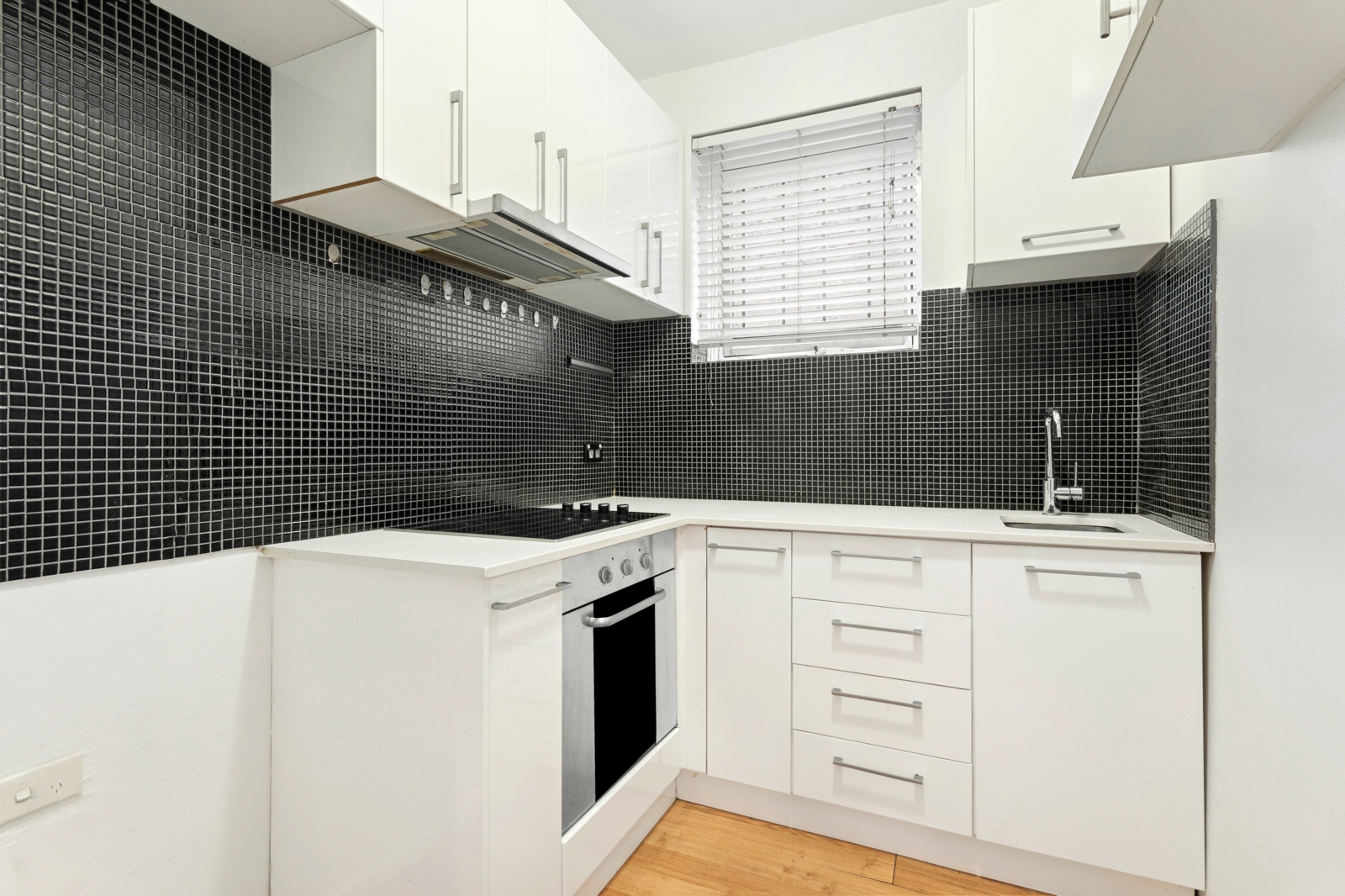 2_173 Bridge Rd, Glebe-2.jpg