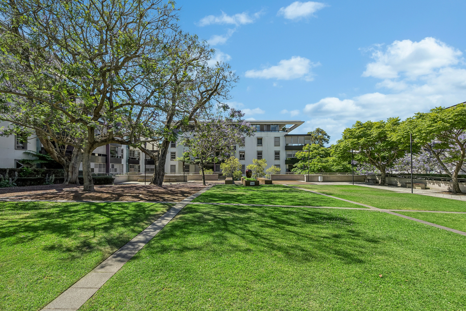 3504/1 Alexandra Drive, CAMPERDOWN