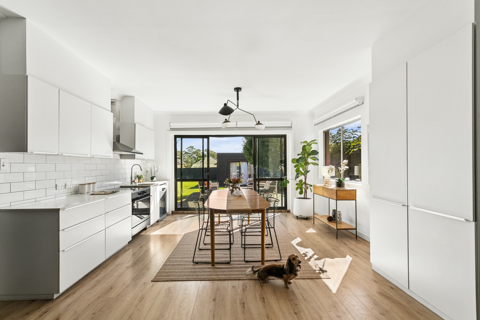 54 Rawson St, Haberfield-15.jpg