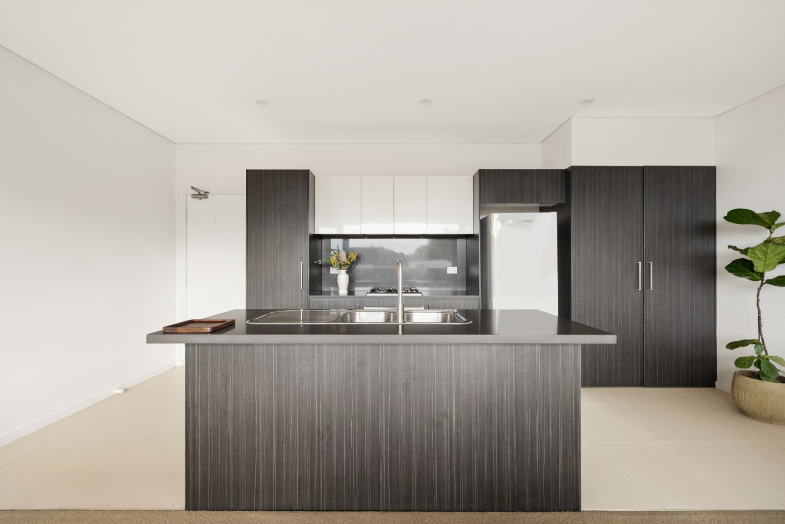 8_60 Earlwood Ave, Earlwood-1.jpg
