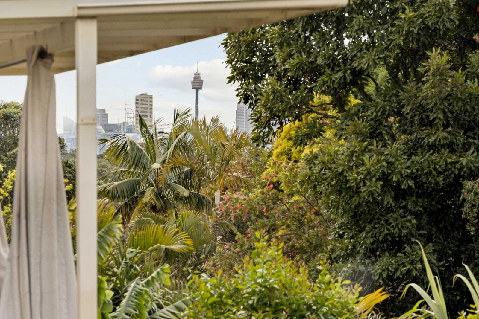 20 Gueudecourt Ave, Earlwood-13.jpg