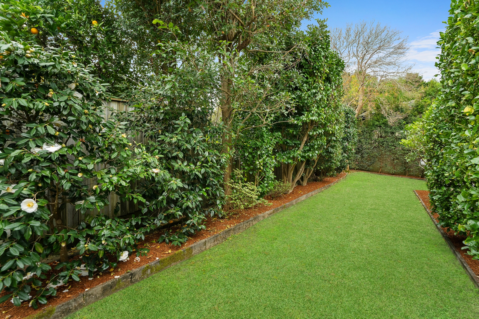 4 Garden.jpg