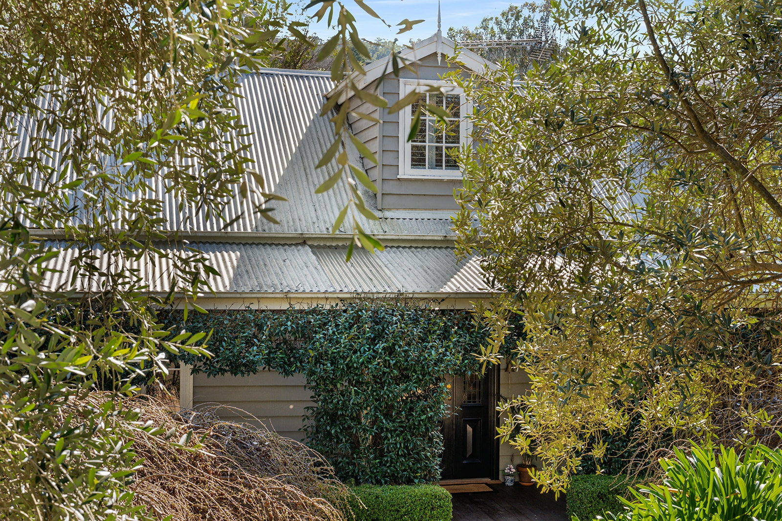 144_Merrigang_Street_Bodhi_Todd_Photogra