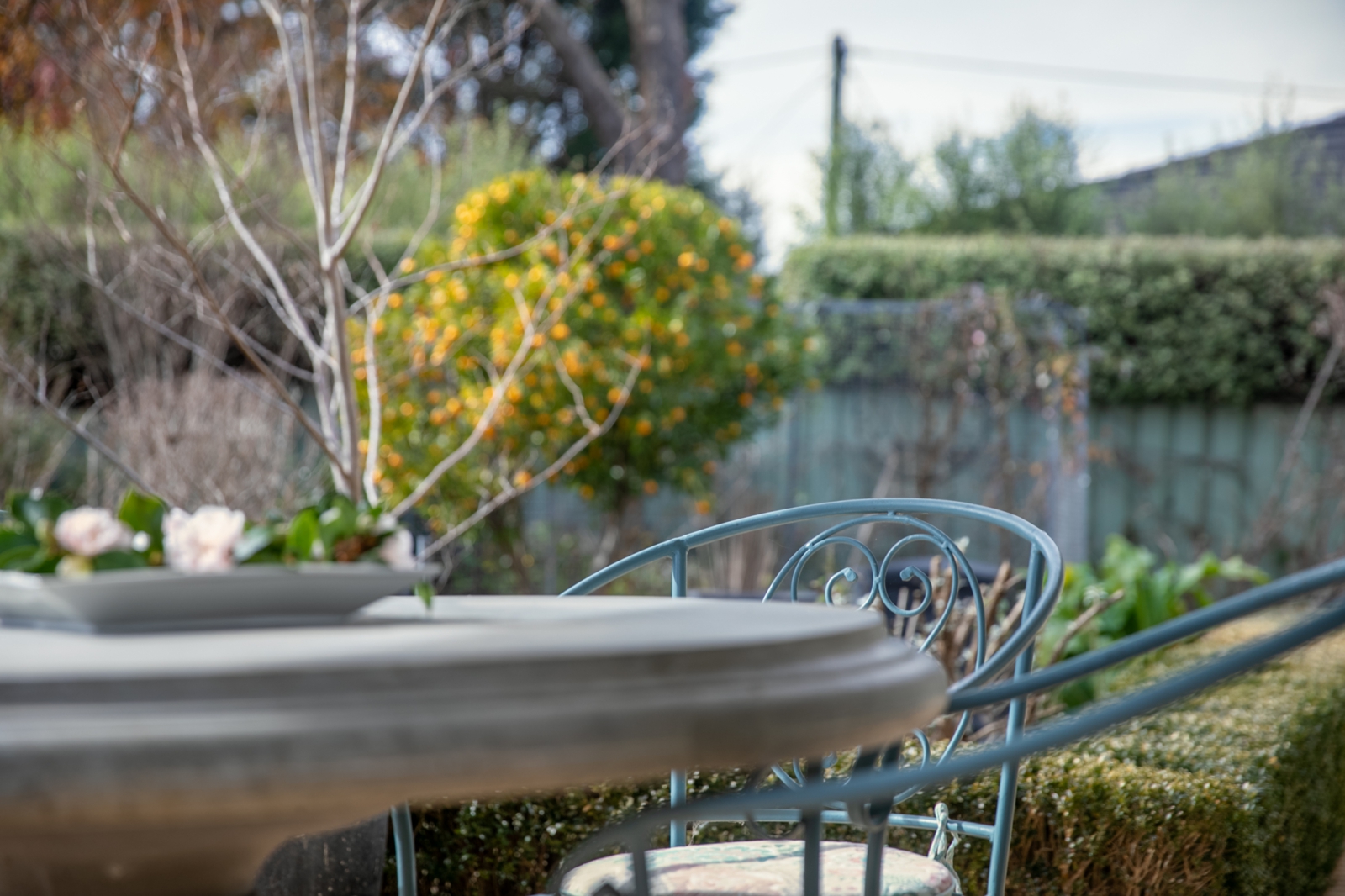 4A1A8541-HDR.jpg