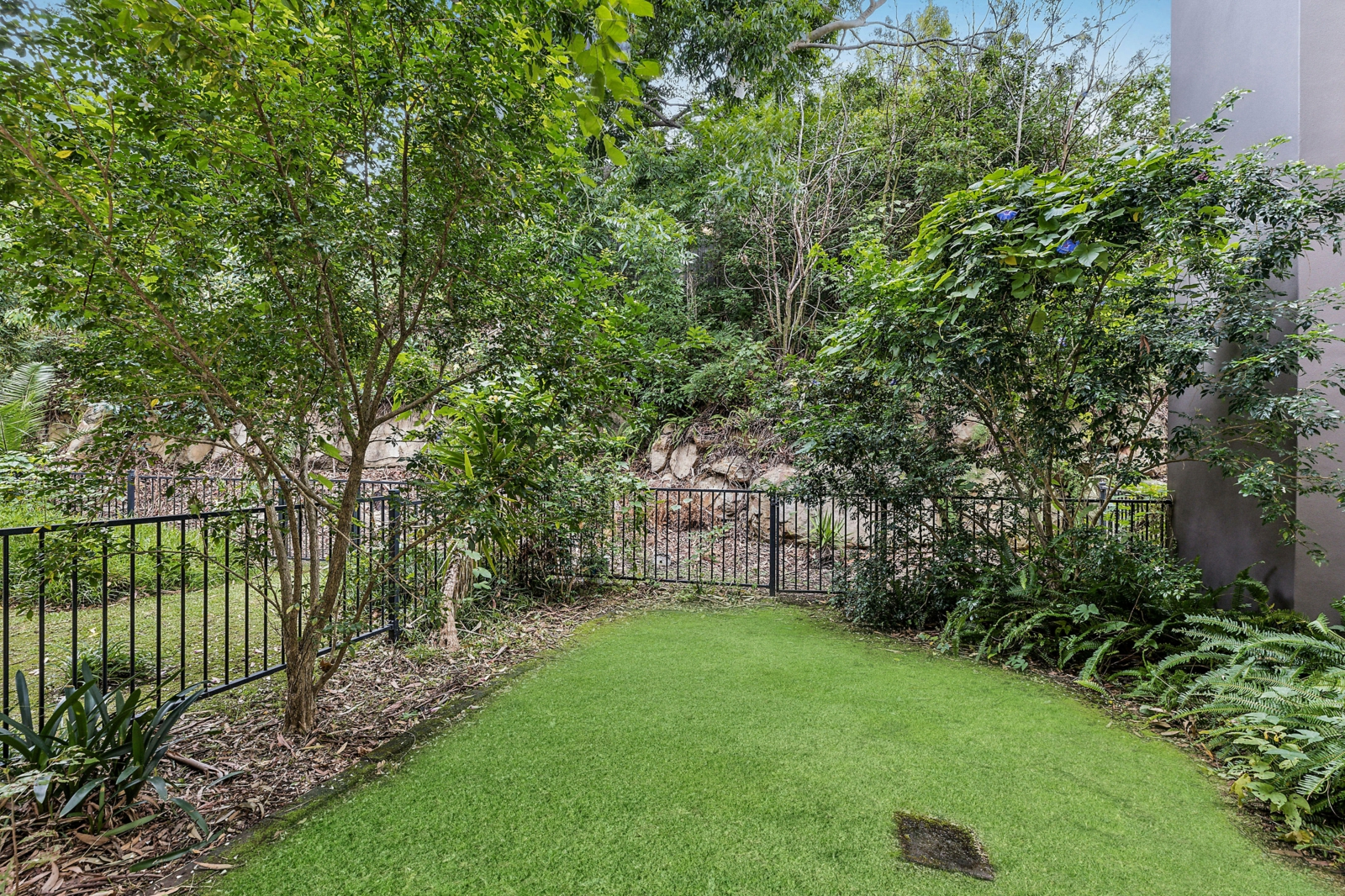 Backyard_v2