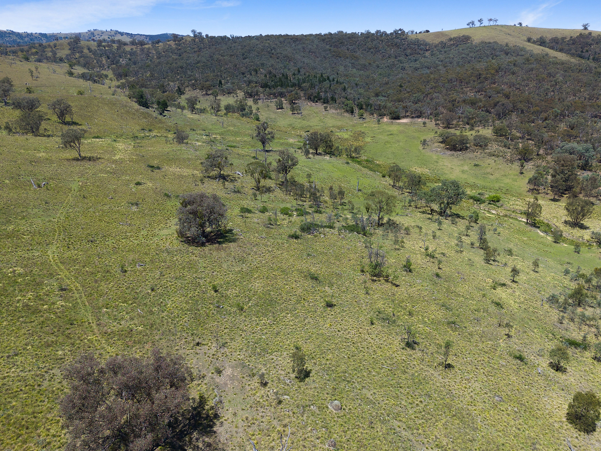 Drone 4
