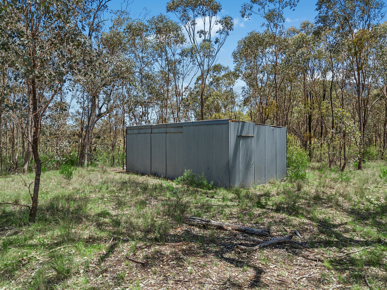 Shed Exterior
