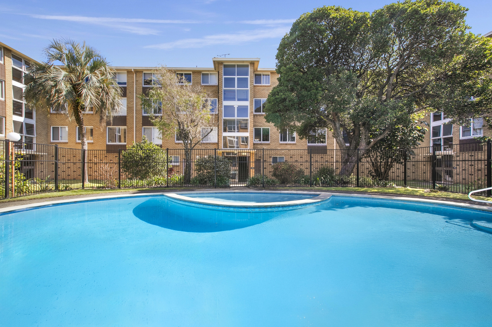 59-6-8 francis st randwick pool- 2025_2.