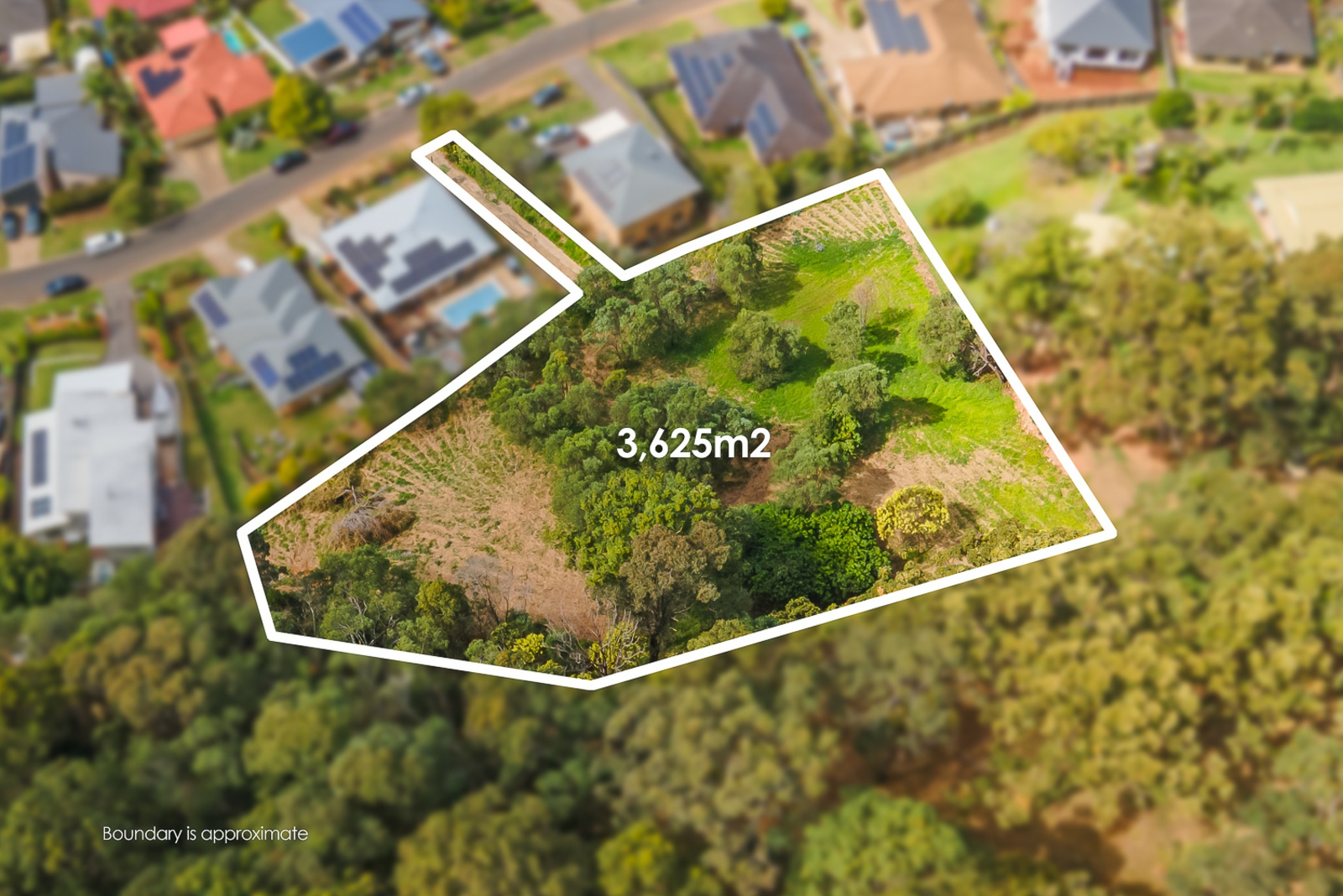 45 Bluetail Crescent, UPPER COOMERA