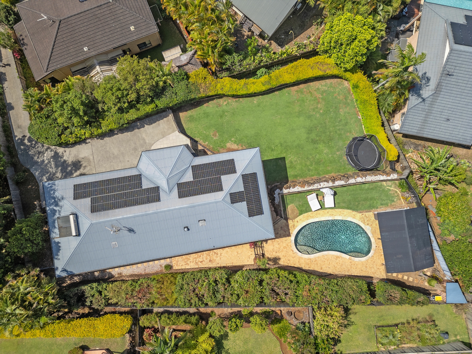 Birds eye