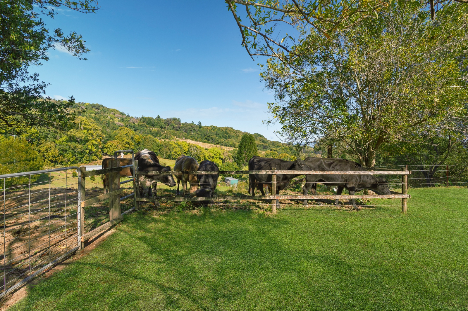 456 Eviron Road,Eviron