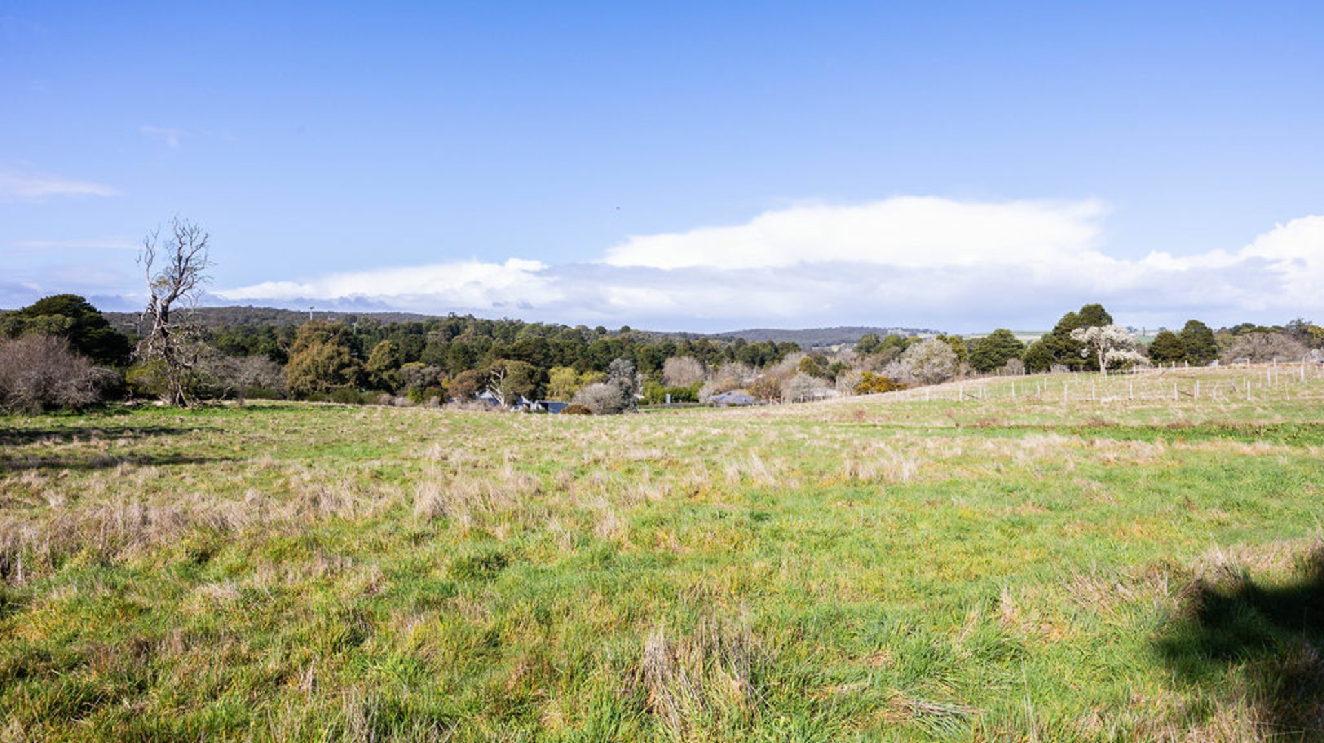 Lot 10/17 Adair Street
