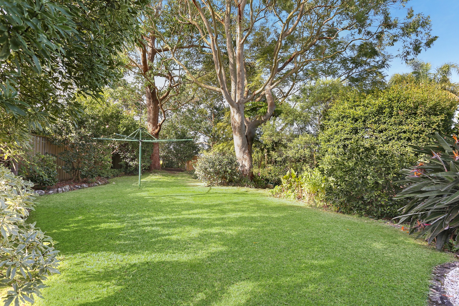 Yard