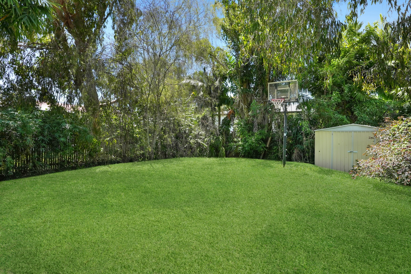 Backyard