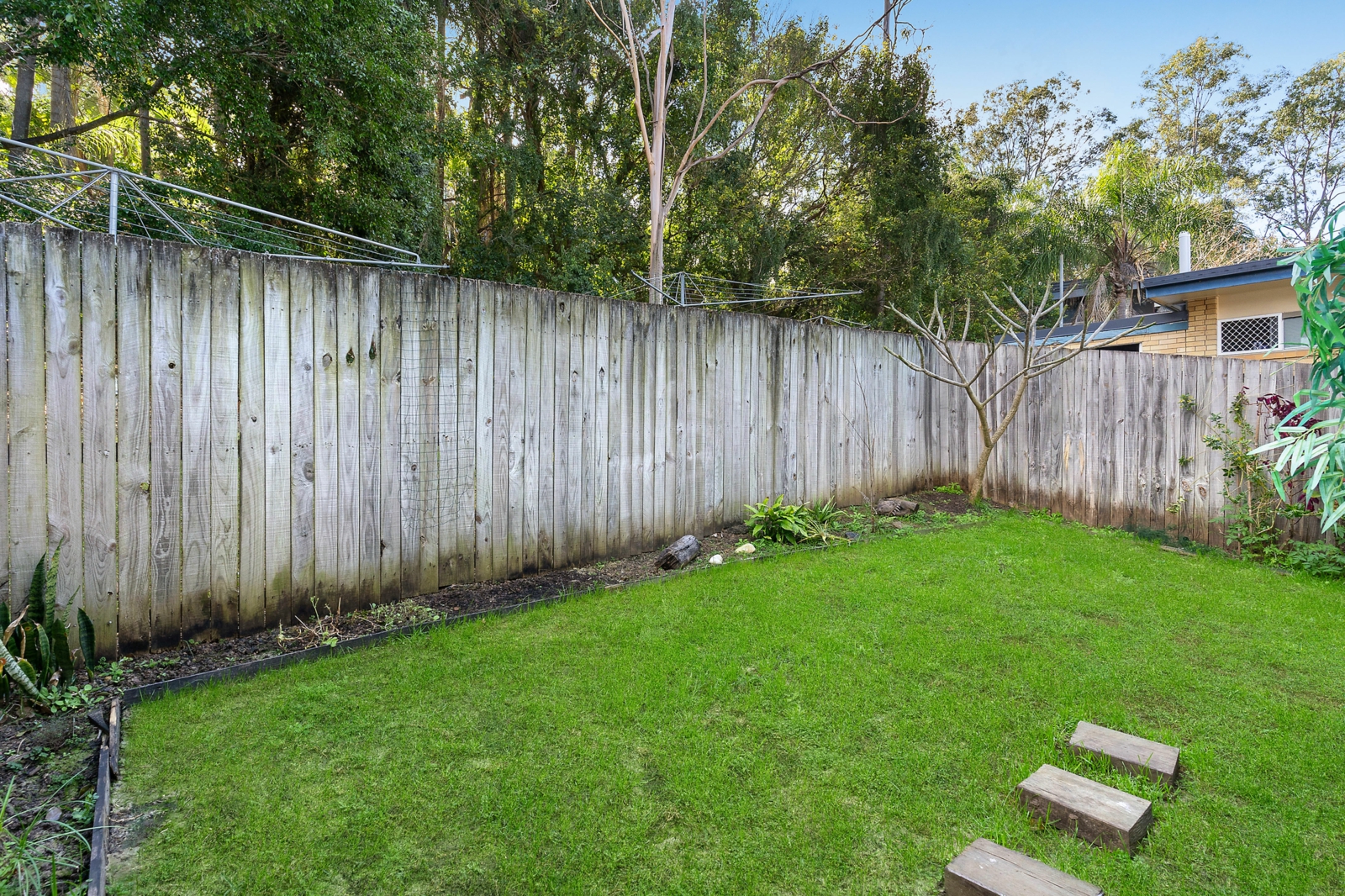 Rear Yard