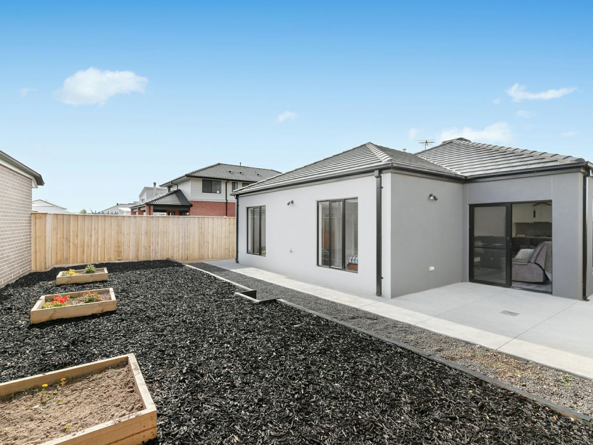 Rear Yard
