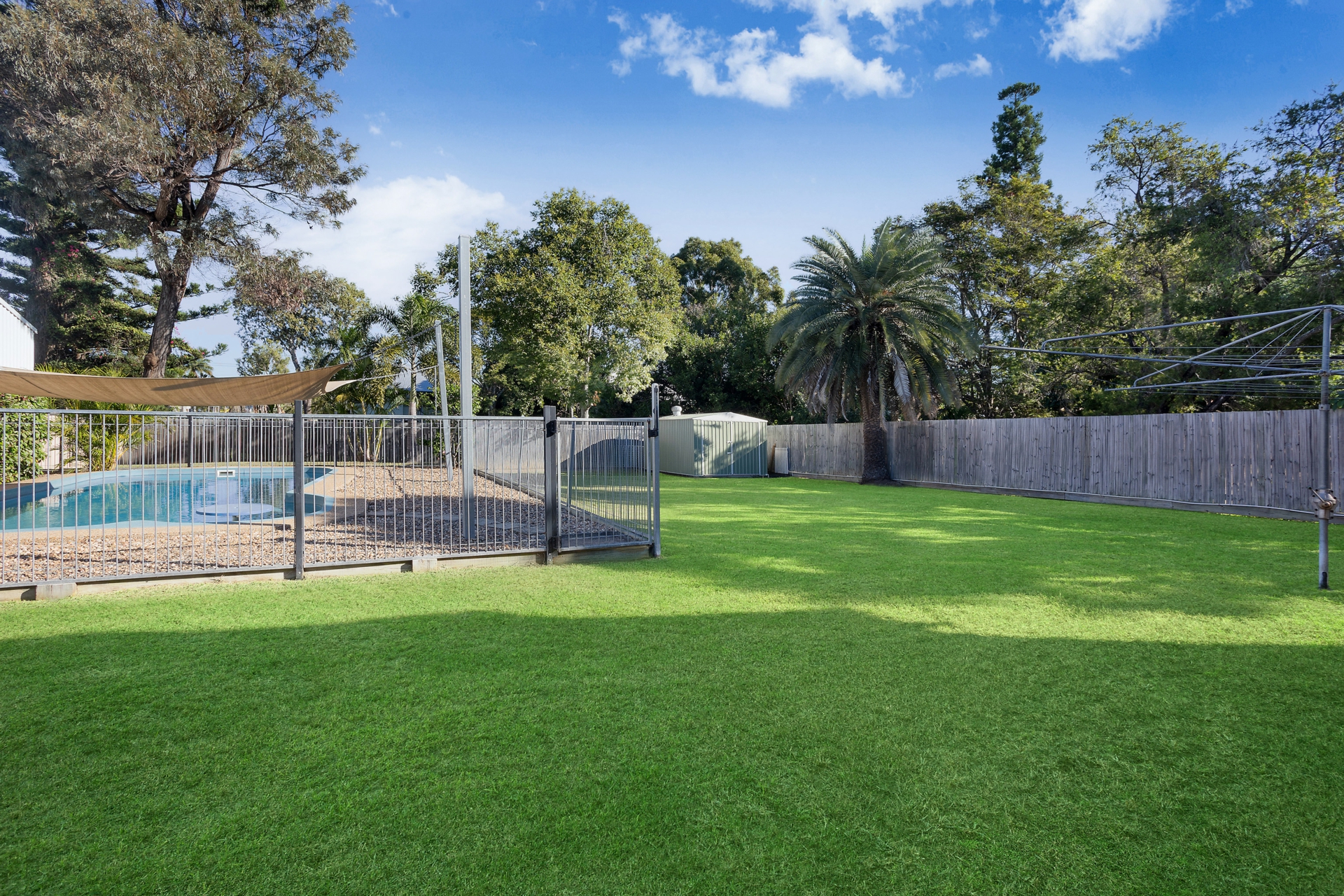 backyard