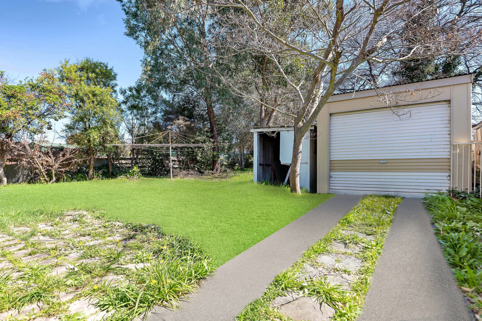 Backyard_v2