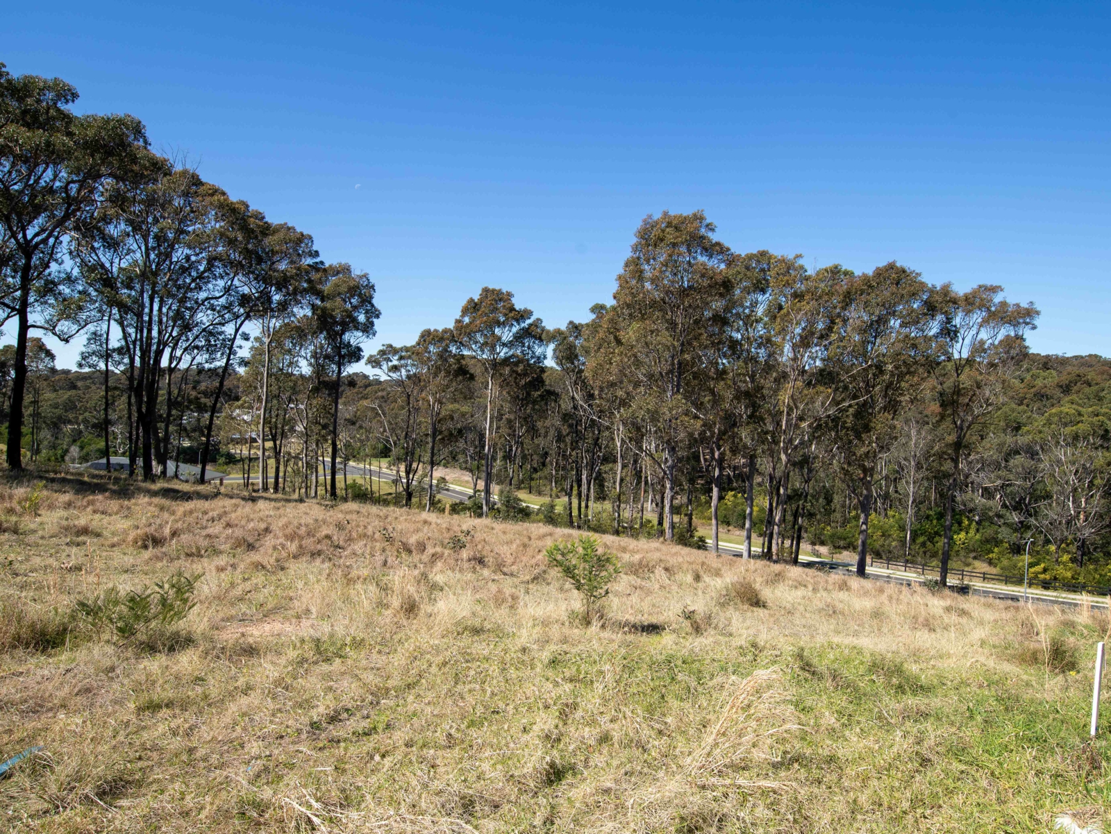 5 Amaroo Drive,Rosedale