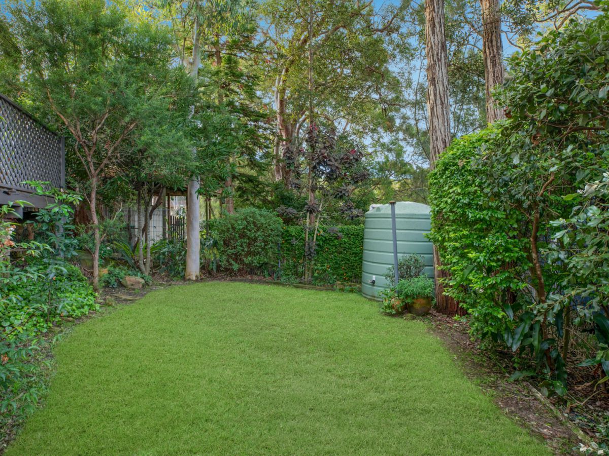 Backyard 3_v2
