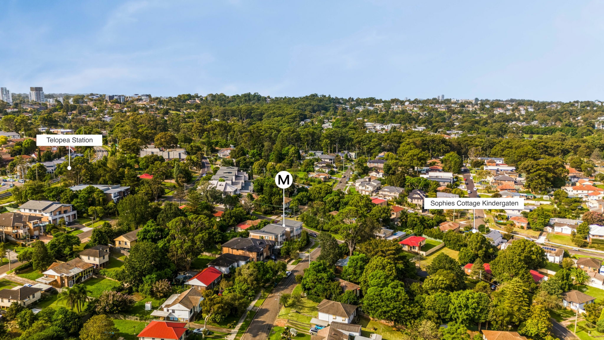 Drone_3-17 The Parade, Telopea, NSW 2117