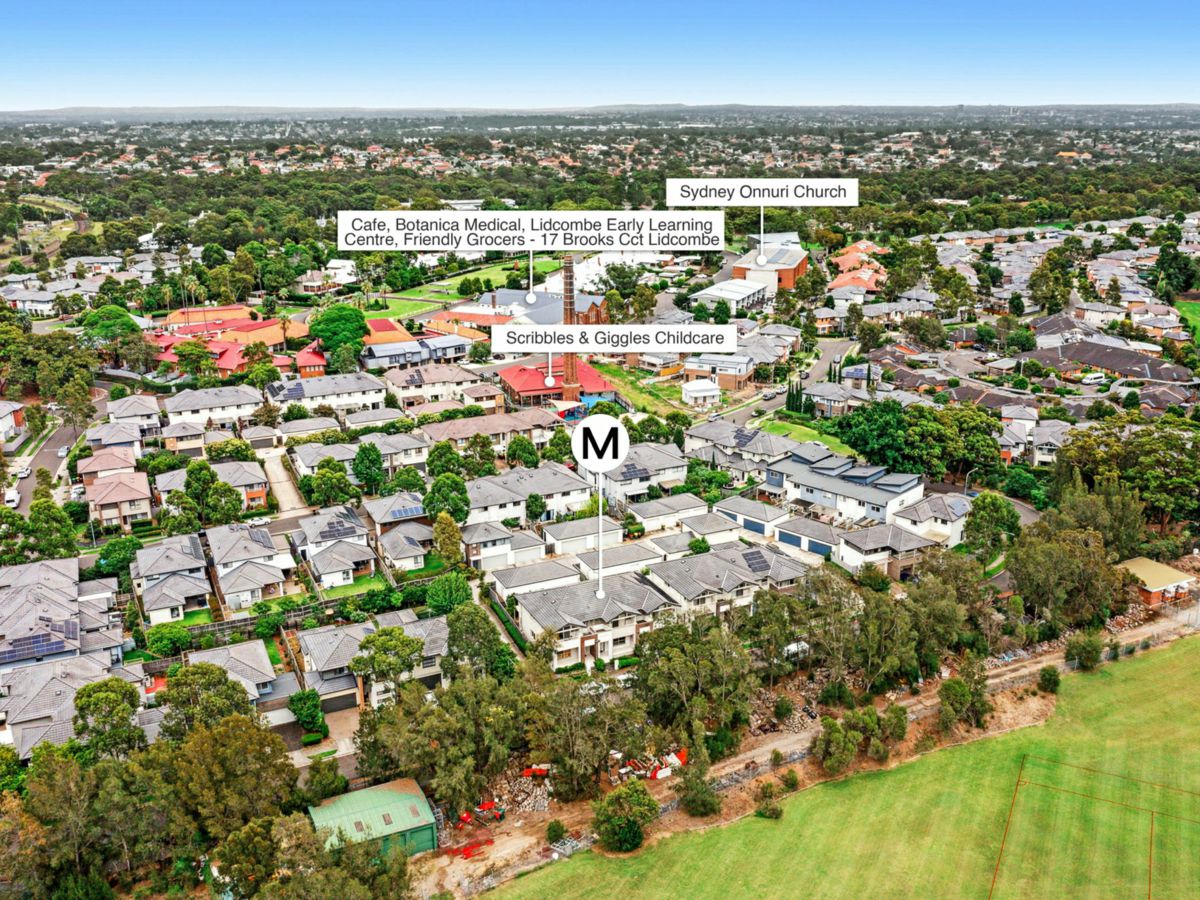 Drone_27 Tallowwood Ave, Lidcombe-4 (2).