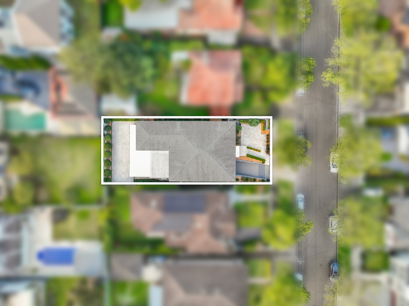 Drone_5 Cameron St, Strathfield_1 2.jpg