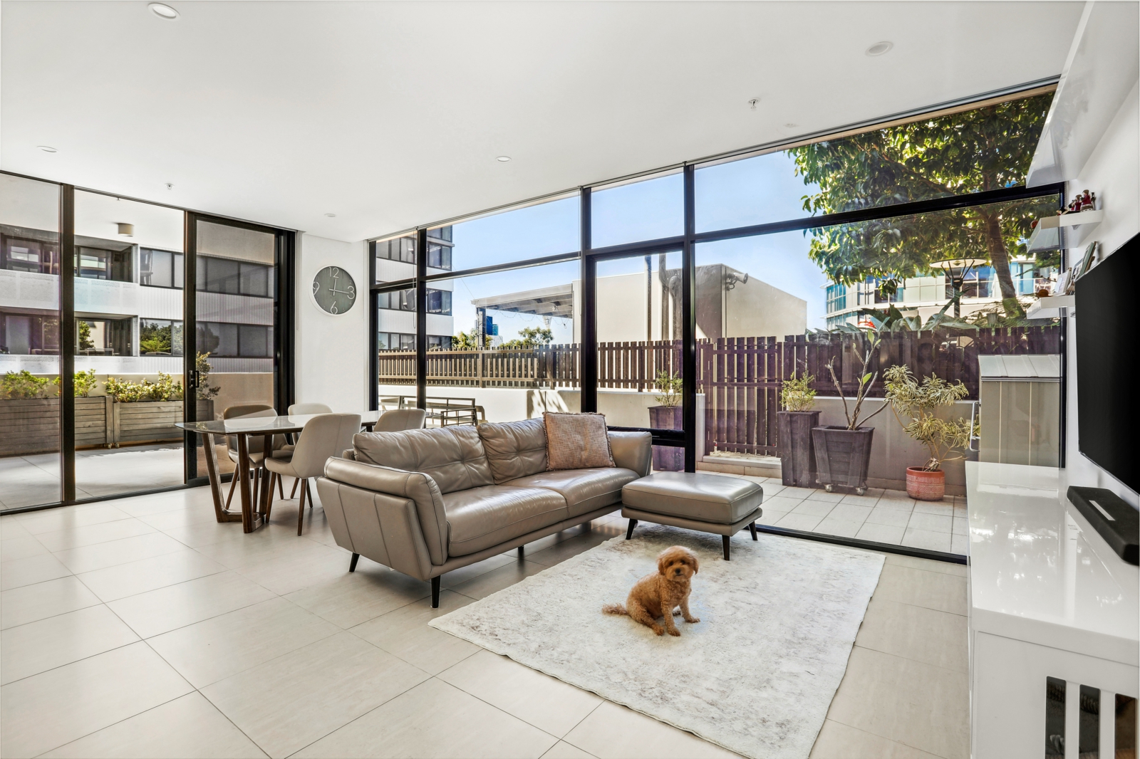 441/11 Canning Street,Lidcombe