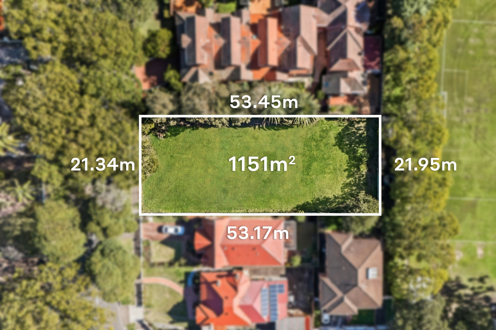 Drone_3 Jersey Rd, Strathfield-7.jpg