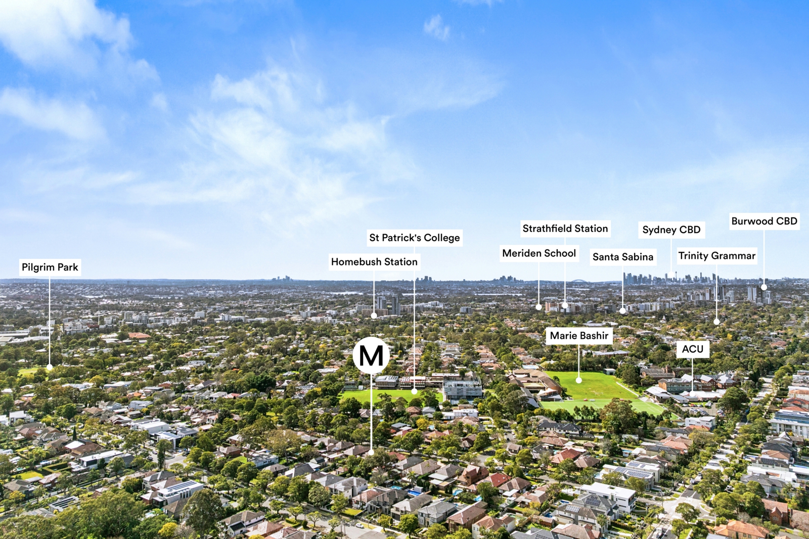 Drone_29 Marion St, Strathfield_1 2.jpg
