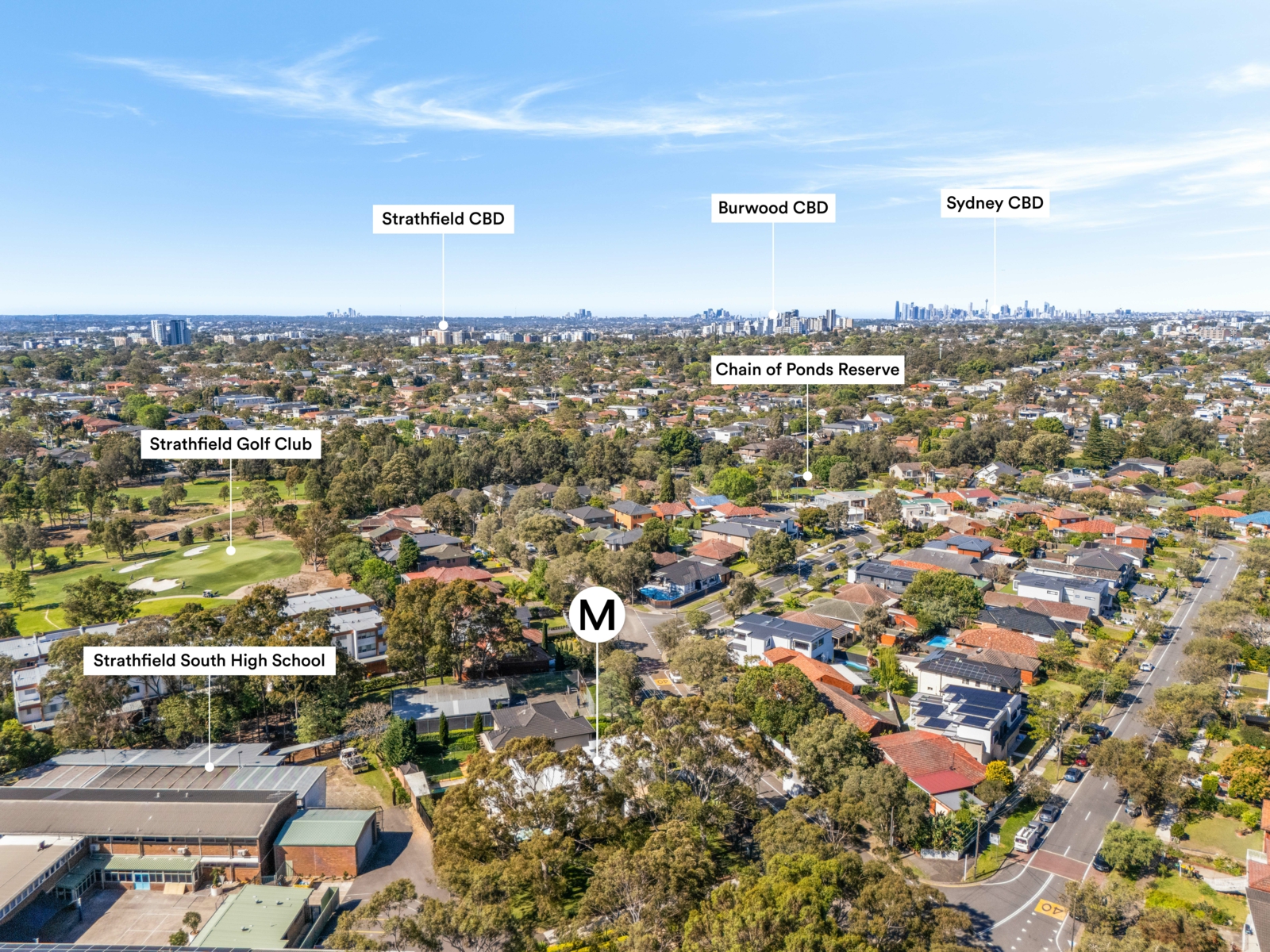 Drone_41 Hedges Ave, Strathfield_1 2.jpg