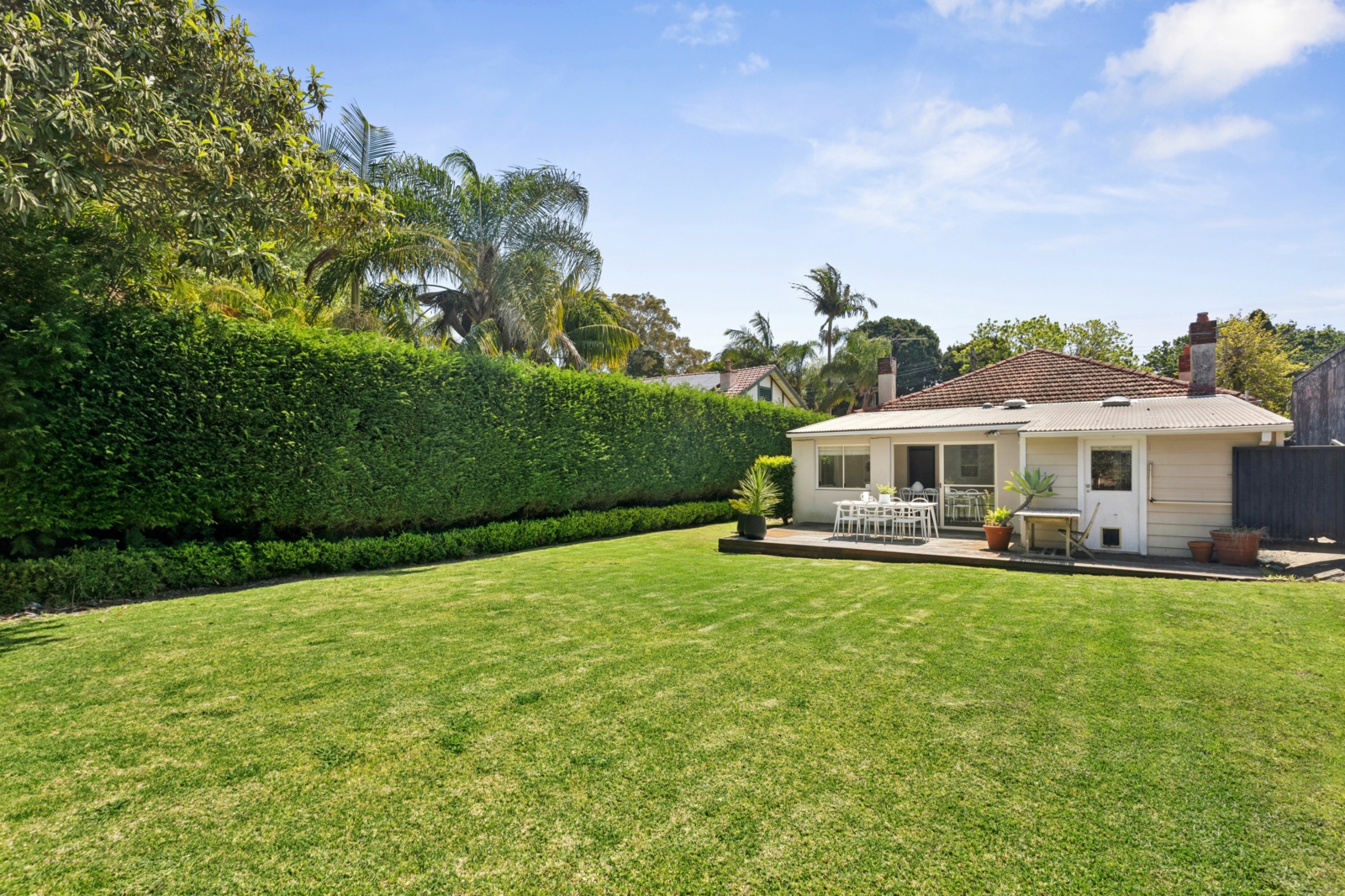 119 Alt St, Ashfield_5.jpg