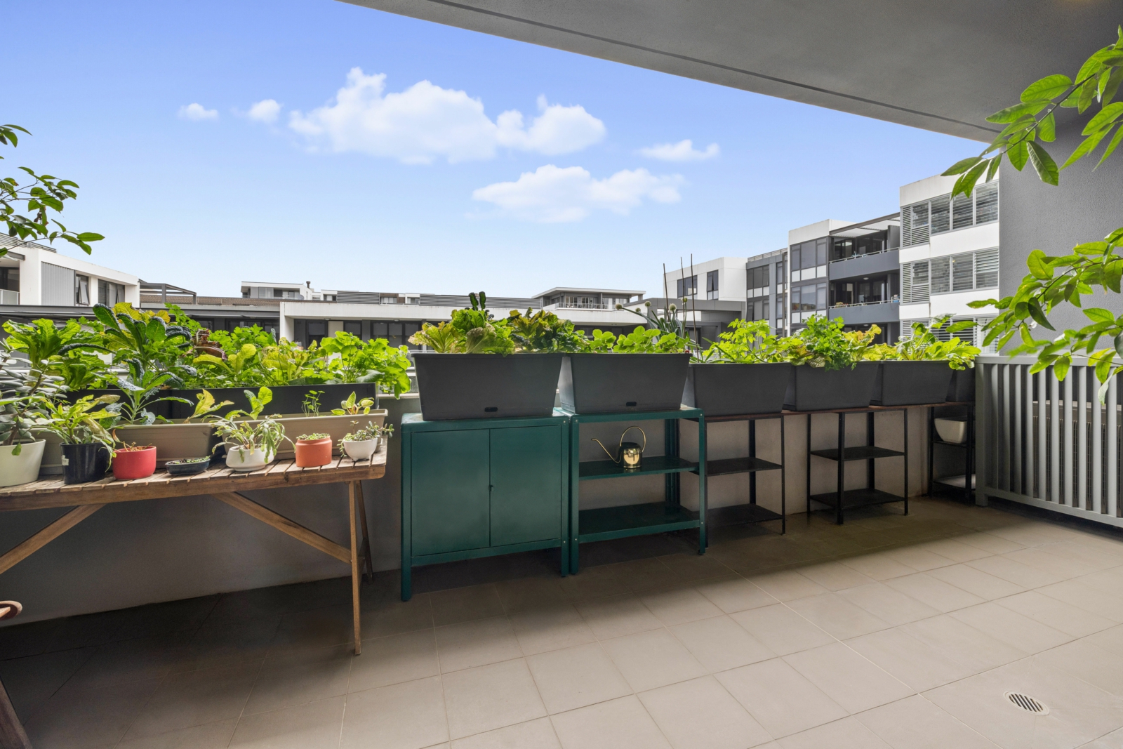 609/4 Footbridge Boulevard,Wentworth Point