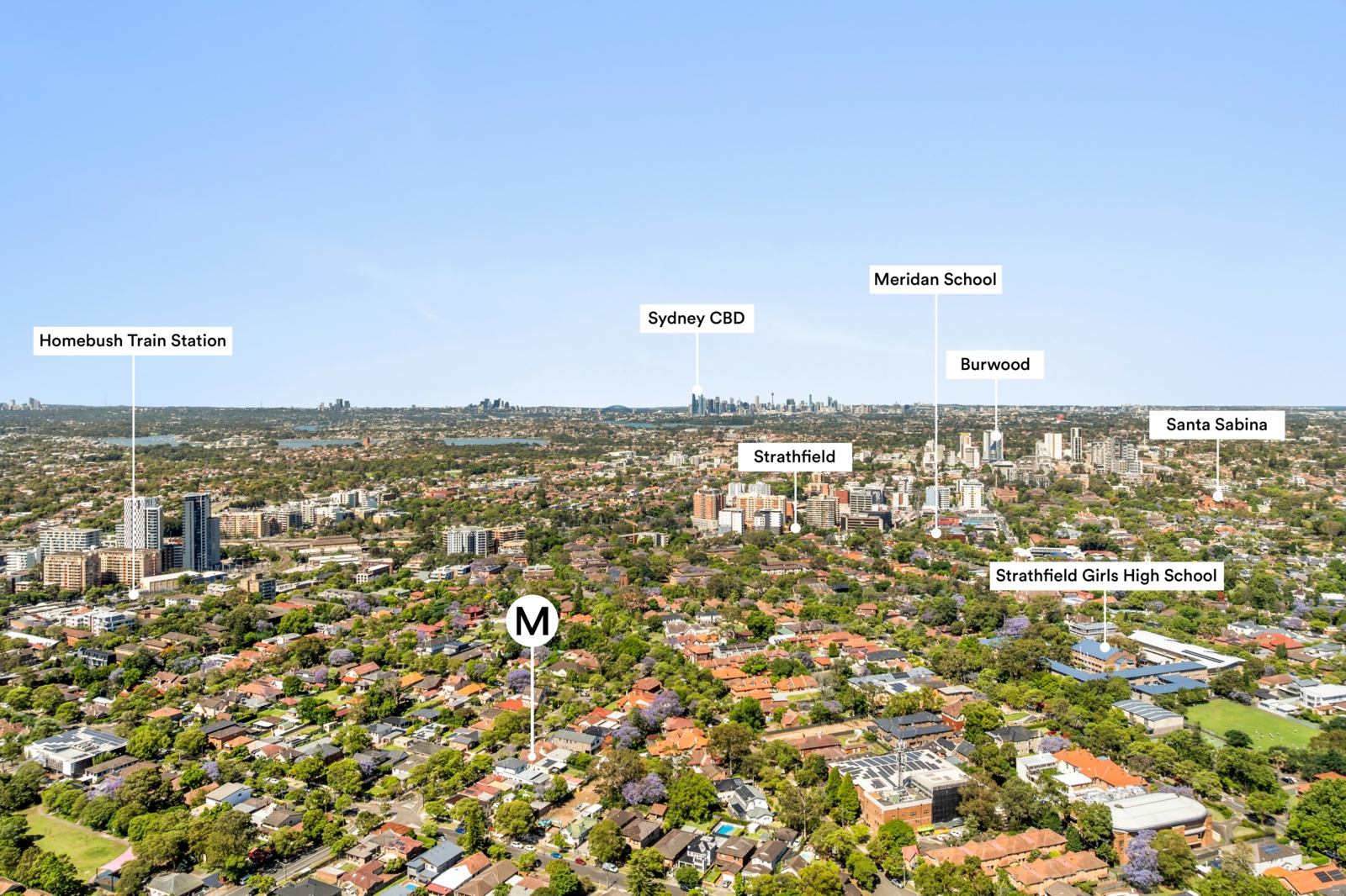Drone_18 Broughton Rd, Strathfield_6.jpg