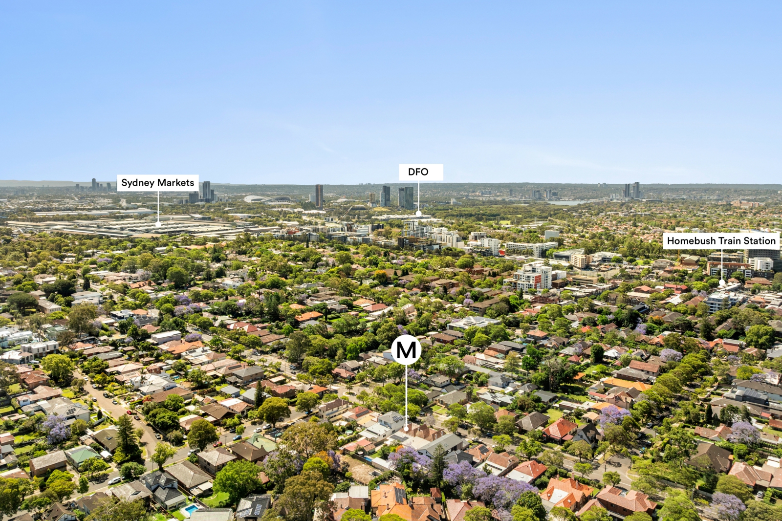 Drone_18 Broughton Rd, Strathfield_4.jpg