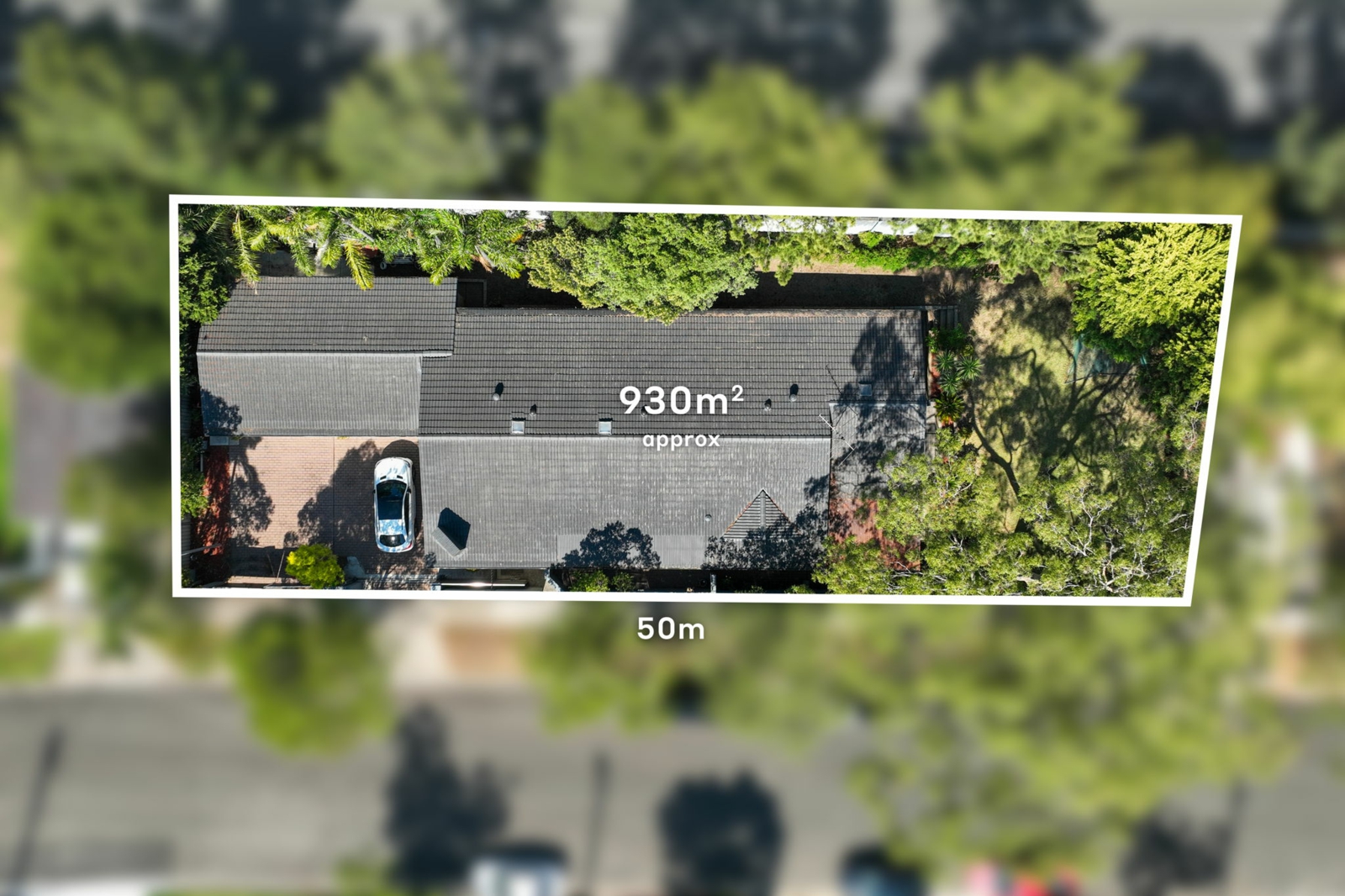 118 Newton Road, STRATHFIELD