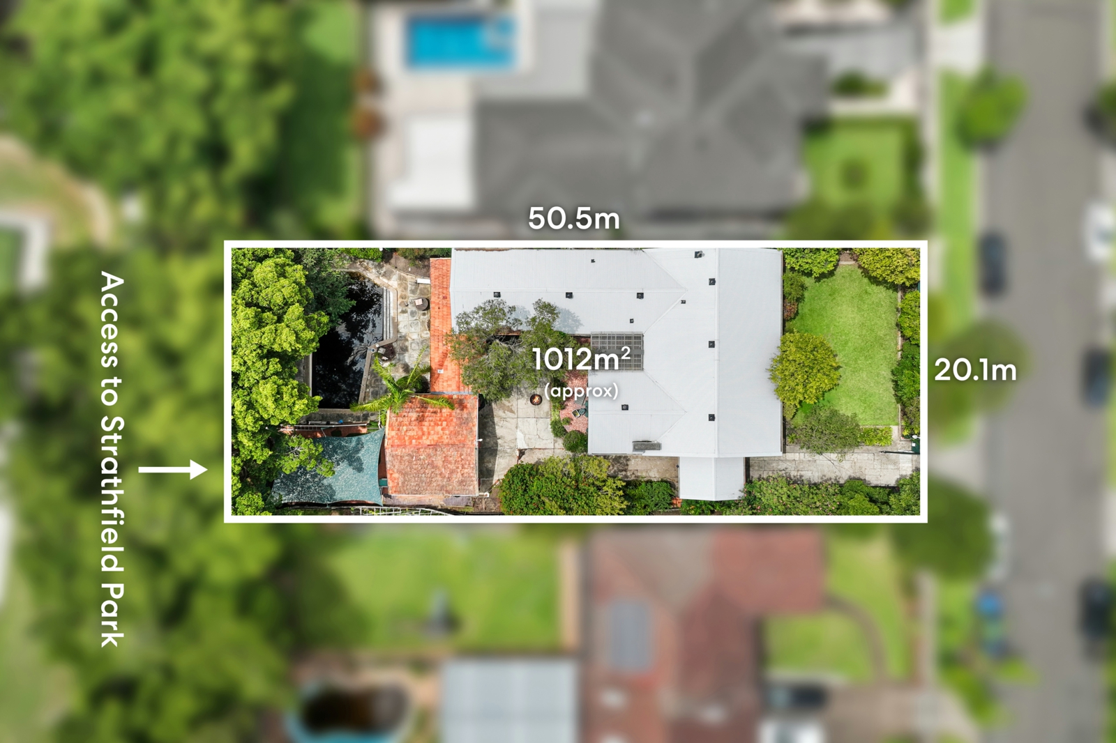 Drone_5 Augusta St, Strathfield_5.jpg