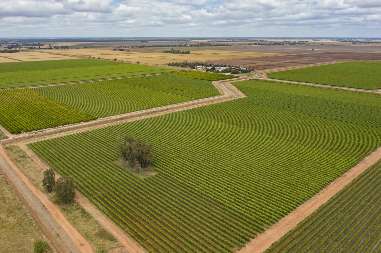 126 & 127 Yate Road,Leeton