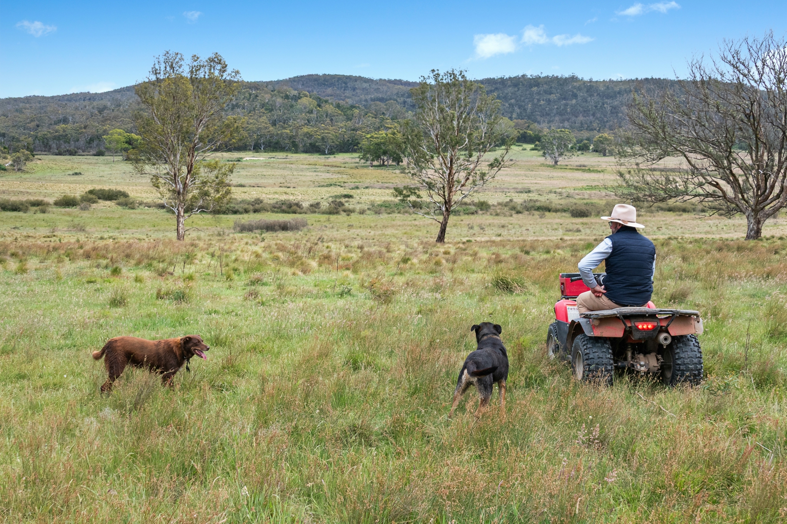 371 Mayfield Road,Braidwood