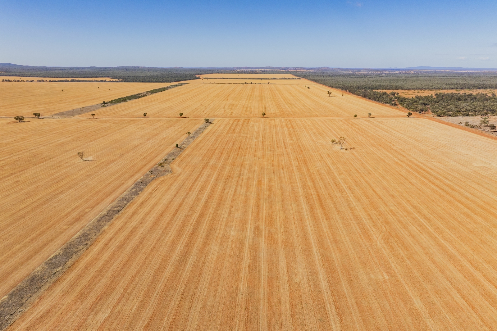 2880 Tallebung Road, CONDOBOLIN
