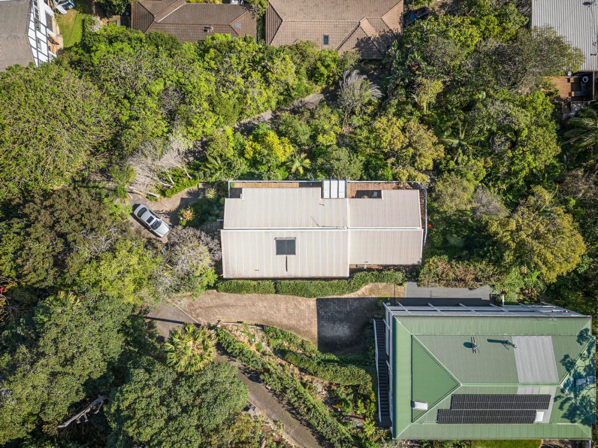 Drone 6