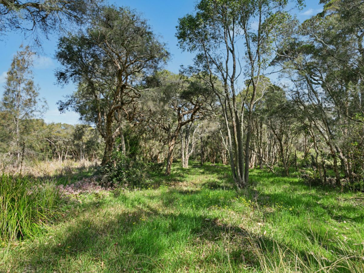 Bushland