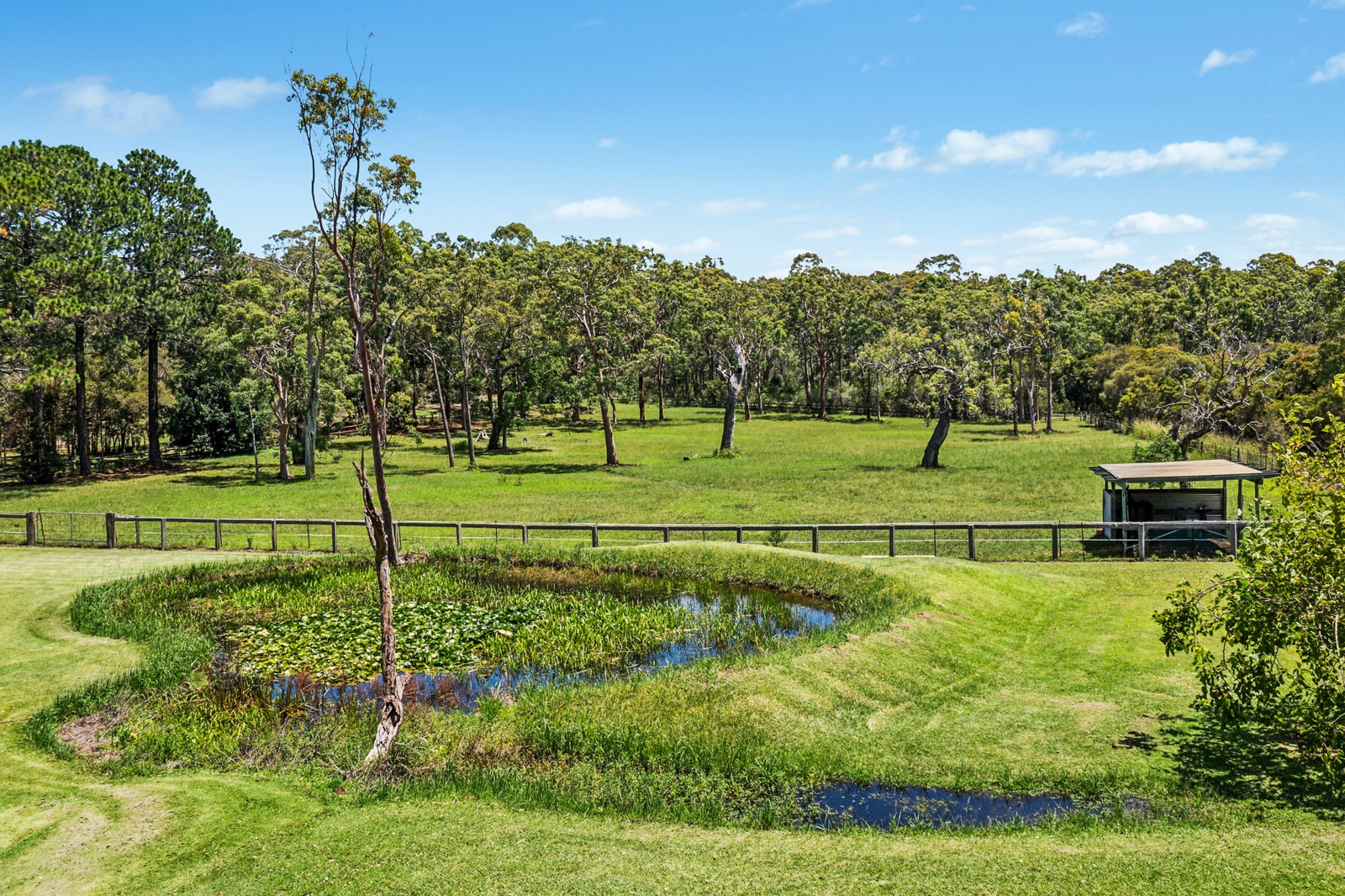 Dam and Paddock