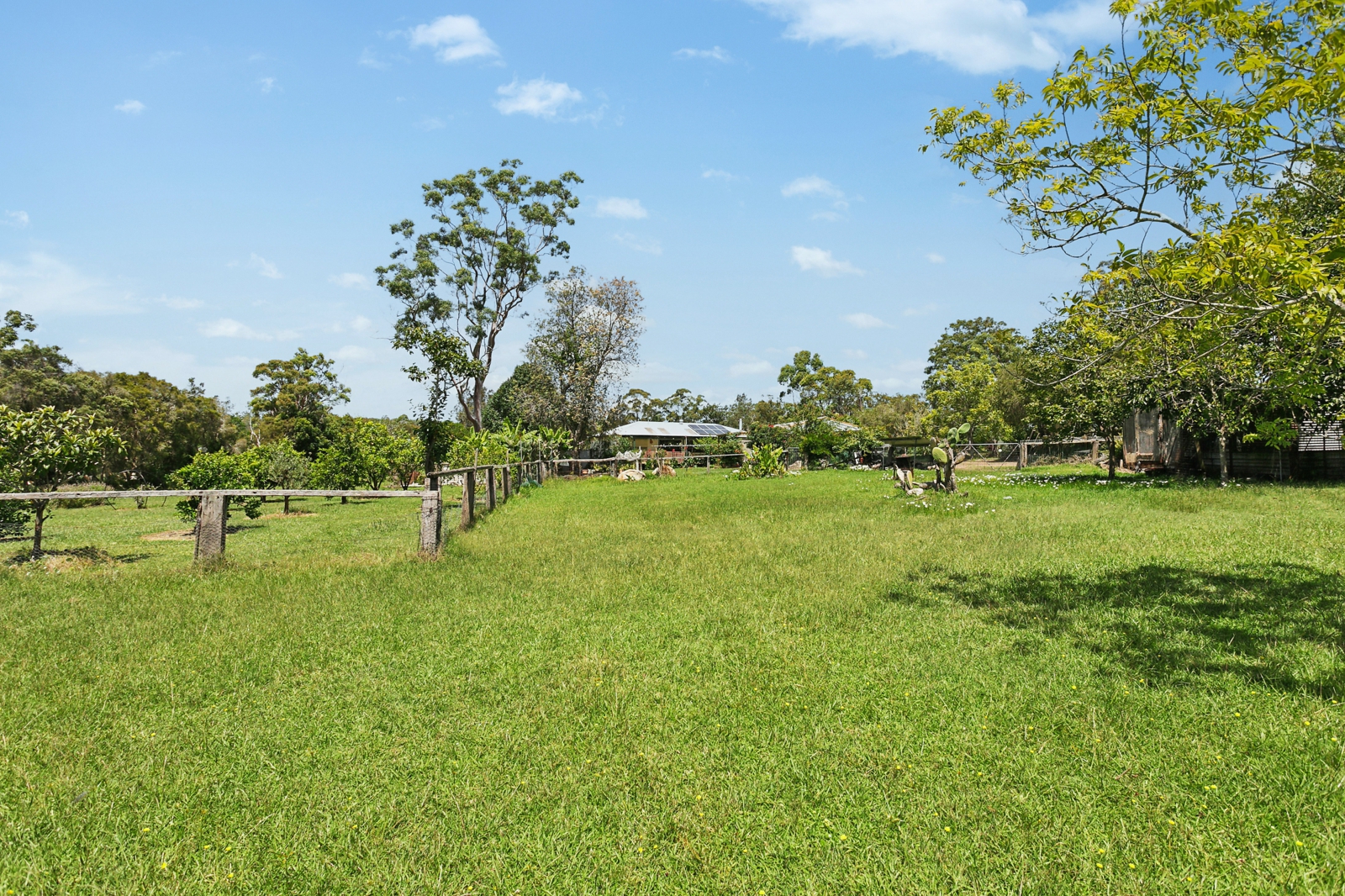 Paddock