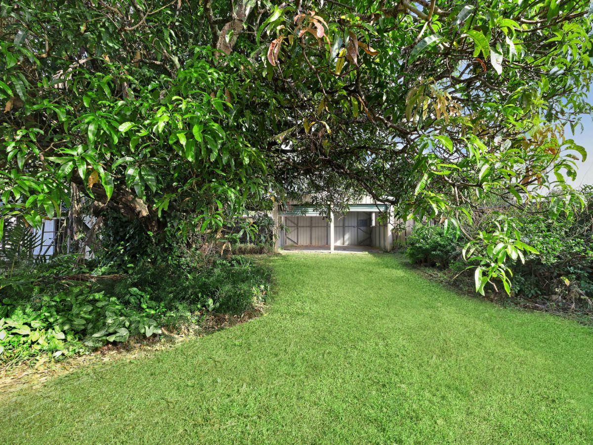 Backyard_v2