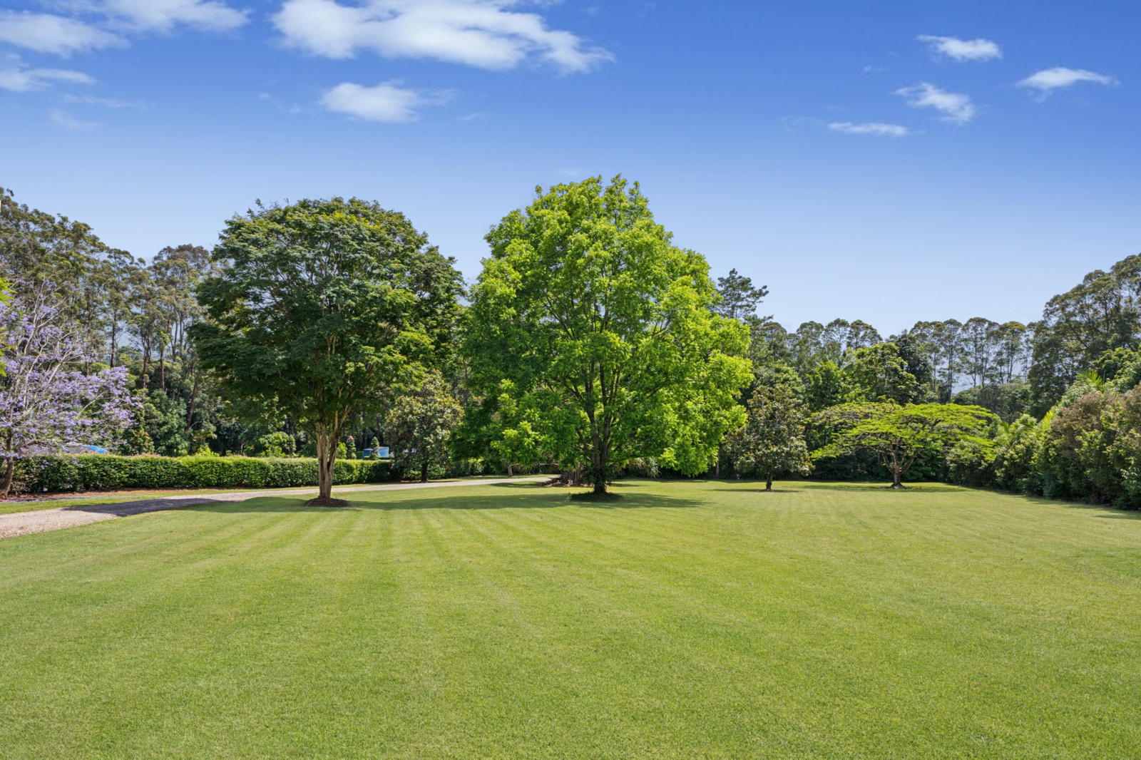 Lawn