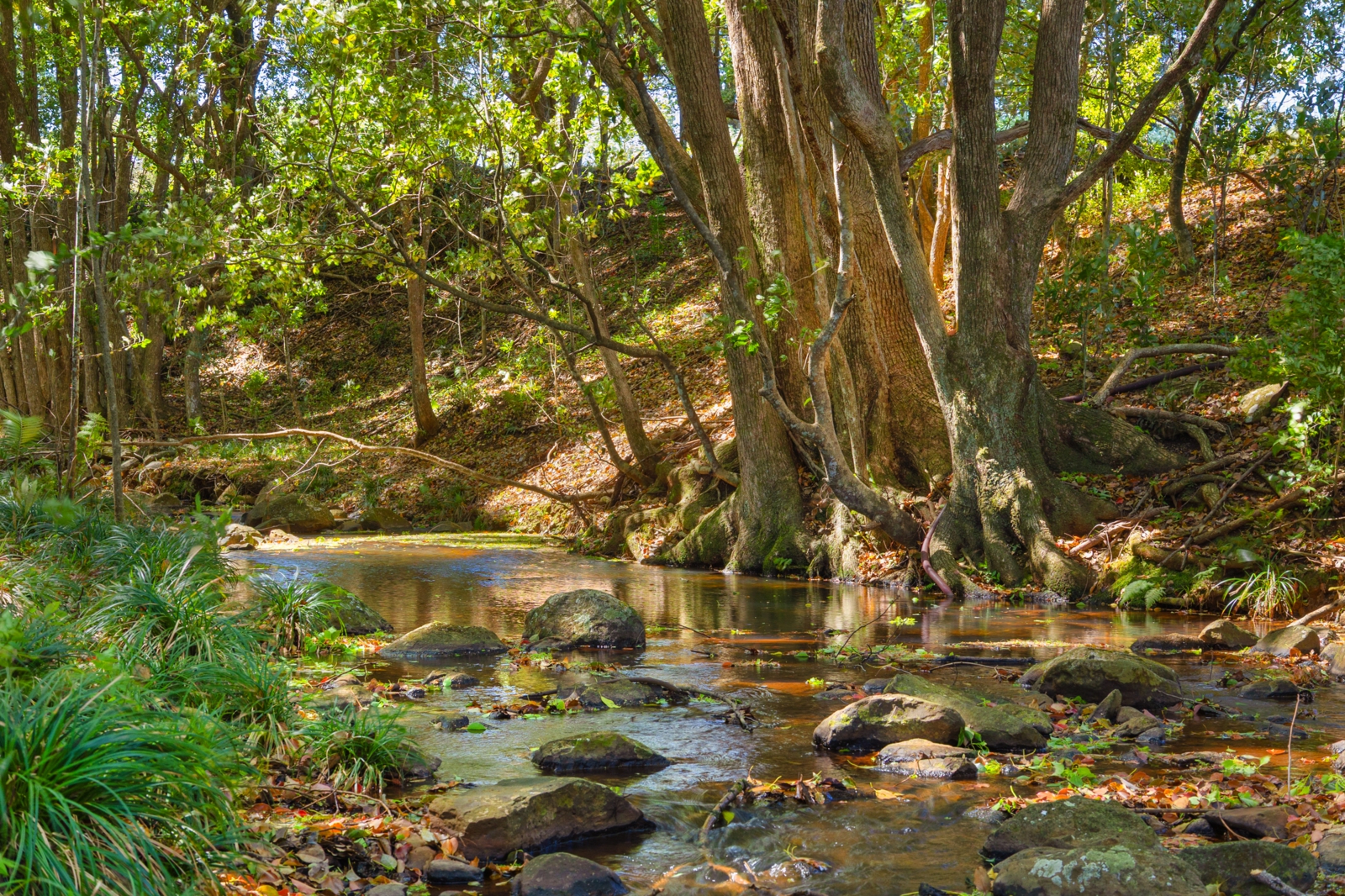 13. Creek.jpg