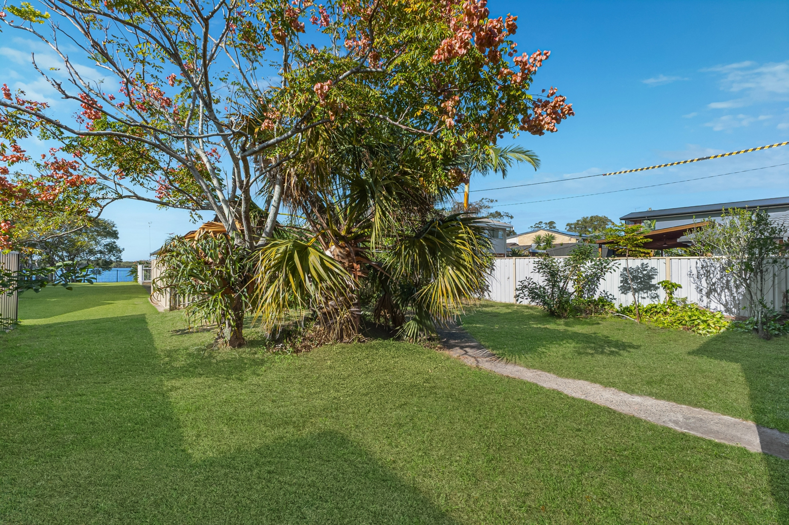2.Backyard.jpg