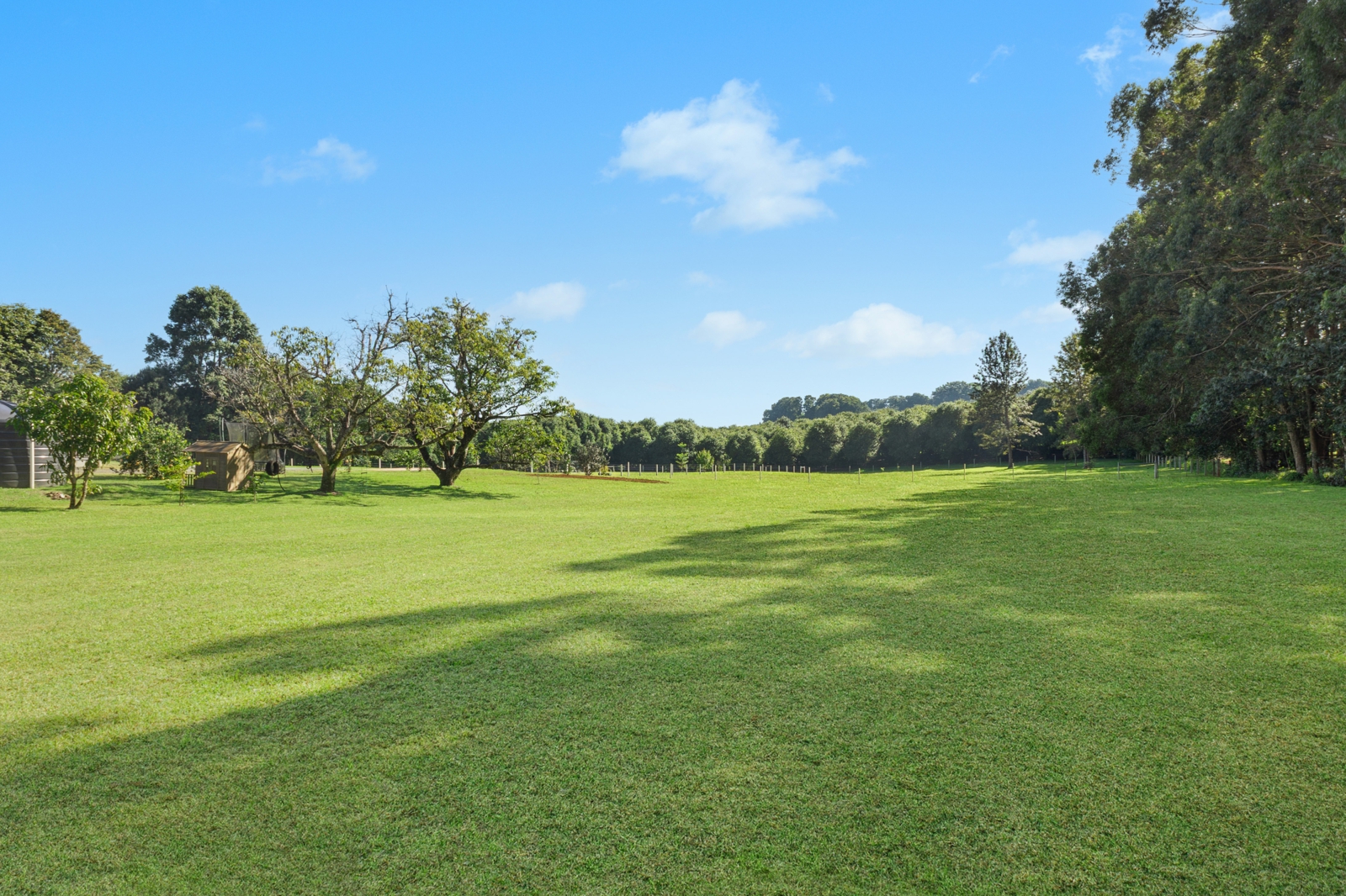 2. Side paddock.jpg